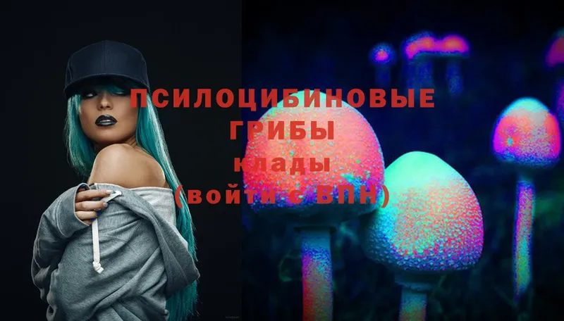 omg ссылка  Беслан  Галлюциногенные грибы Magic Shrooms 